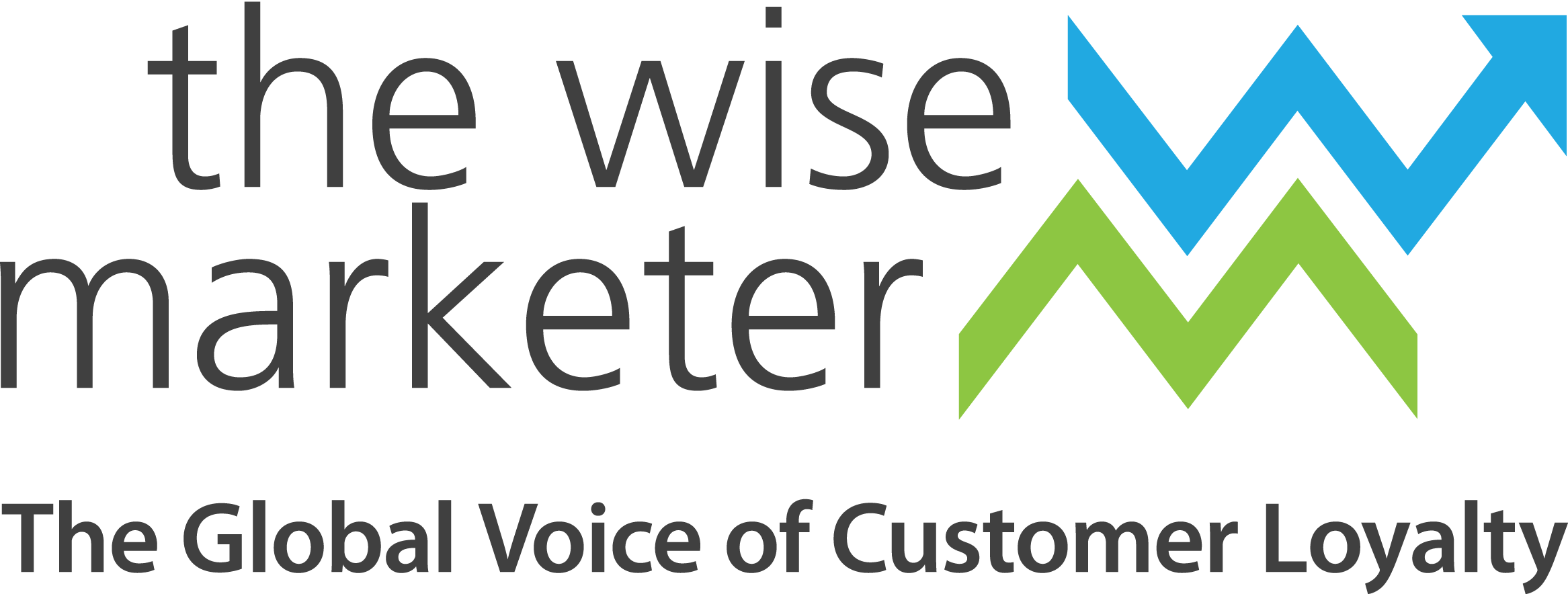 The Wise Marketer logo